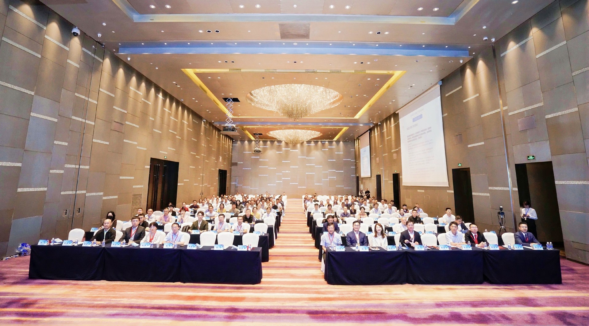 1730445506585892.jpg _DSC5454-opq3268415540.jpg