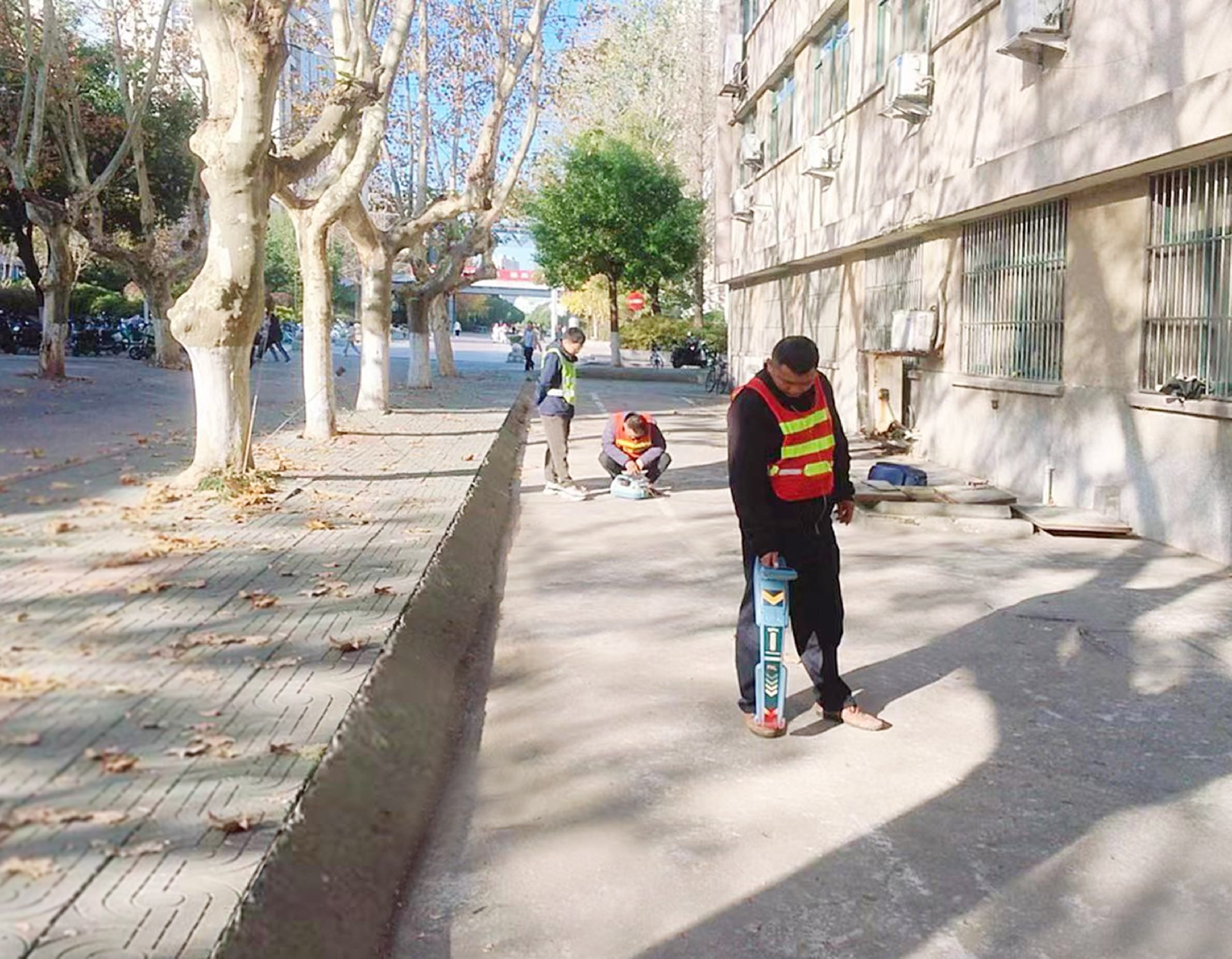 1774317332176460.jpg 35dd5785-90ac-4a0f-8e92-d471989b3edb(1).jpg